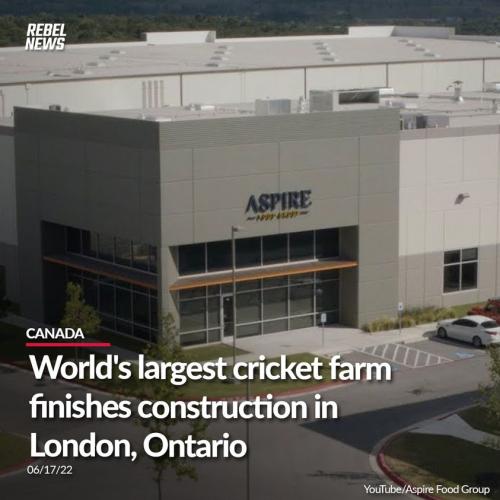 288777861_5310208242379405_8237247385818035954_n