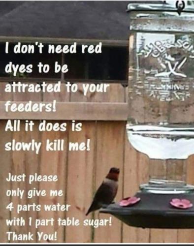 Screenshot_20220606-071451_MeWe