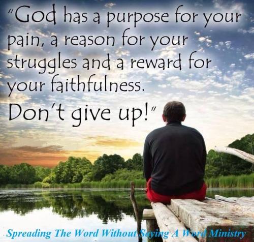 12733378_1001646206584177_8537550535230386040_n