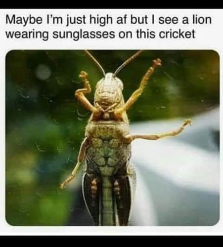 FB_IMG_1655481301227
