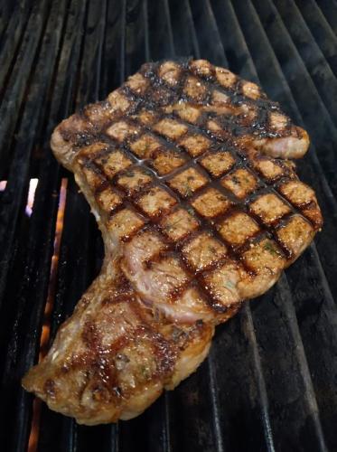 289018863_595183751968791_7375070269179632484_n