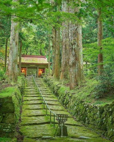 285767169_563733121789361_7713282835365067660_n