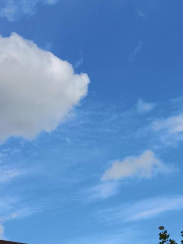 received_792729002169759