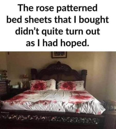 FB_IMG_1656183227127
