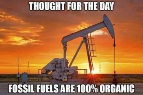 Oil is Organic 1