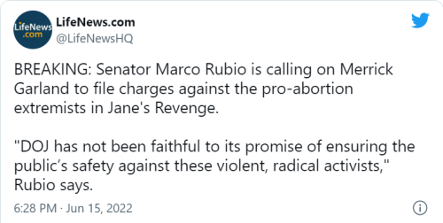 Pro Life 6