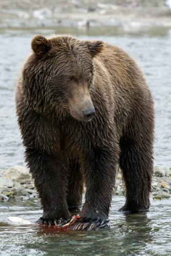 b7494a5b7d744b004028b82cda521f2f