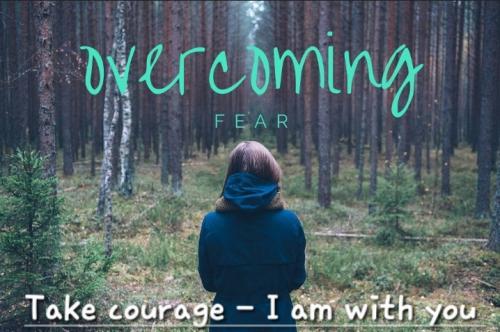 035854d4-9925-481d-a289-c9e7ed3e240d