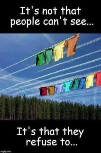 FB_IMG_1655053356553