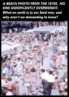 photo_2022-06-23_13-04-03