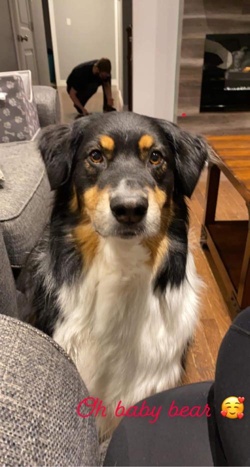 FB_IMG_1649686341421