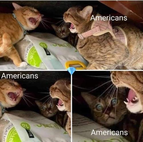 FB_IMG_1656443403455