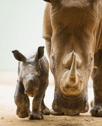 tumblr_c16a4dfc4e1a854061a5c79280c50822_1f967fed_540