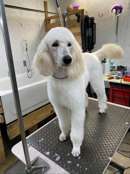 B0F3699A-099D-4C8A-92F2-4CED45E385FF