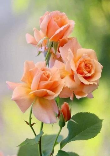 20:16:57 GMT-0500 (CDT)