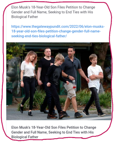 snapshot_www.minds.com_1655782115528