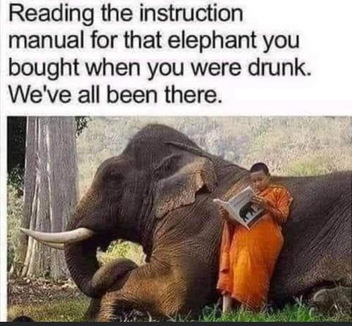 FB_IMG_1656521906940