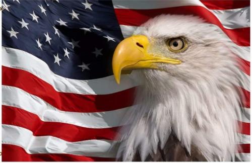 Screenshot_20220614-111440_Amazon Shopping