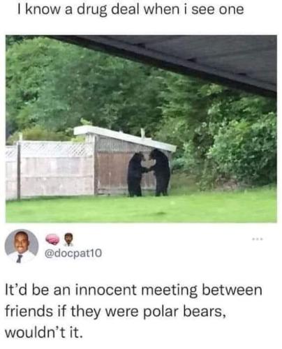 FB_IMG_1654298592269