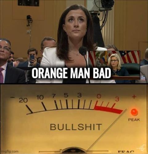 orange_man_bad_liar_POS_liberal