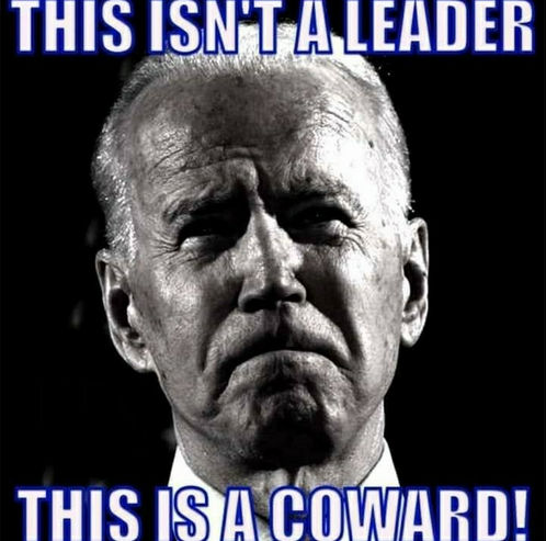 biden985