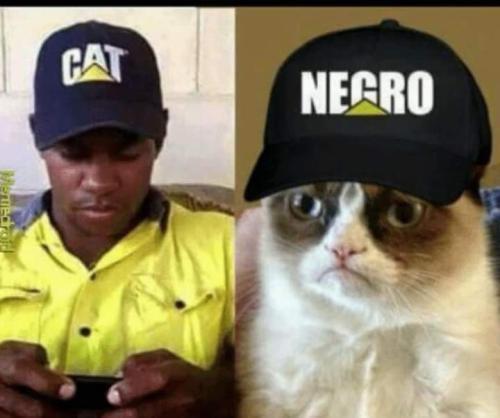 FB_IMG_1655583612500
