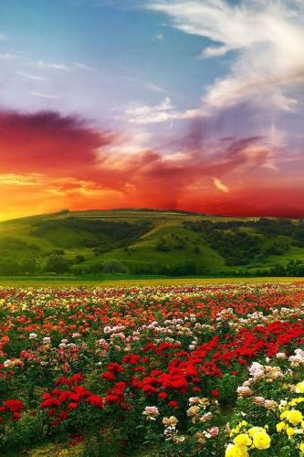 08:03:58 GMT-0500 (CDT)