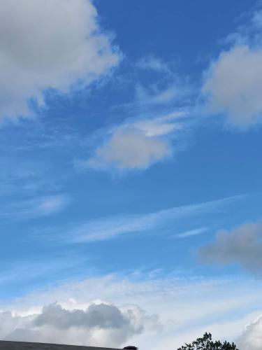 received_336352038467076