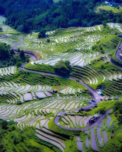 285488490_564870648342275_1649110814587258041_n