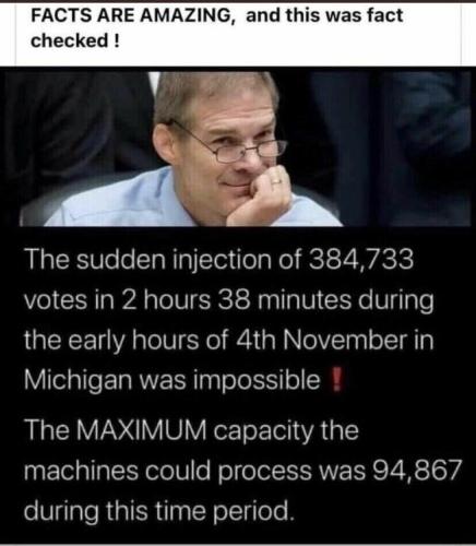 Election MI 1