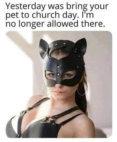 FB_IMG_1654742023382