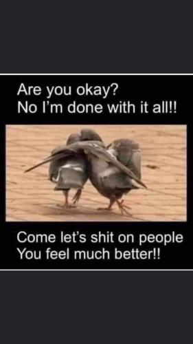 FB_IMG_1654797094390