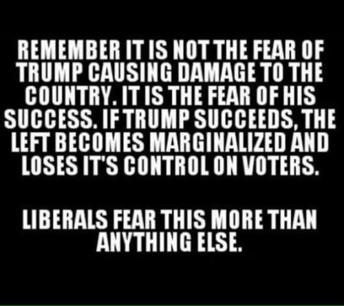 libs fear f