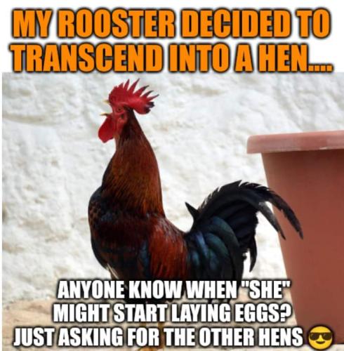 FB_IMG_1654705765082