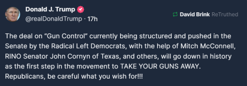 Gun Control 1