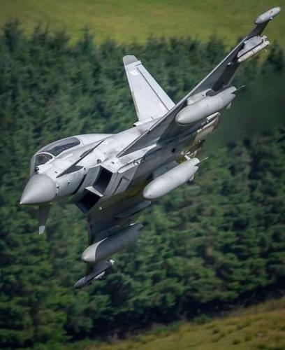 289019905_116299337772374_2371613872725597303_n