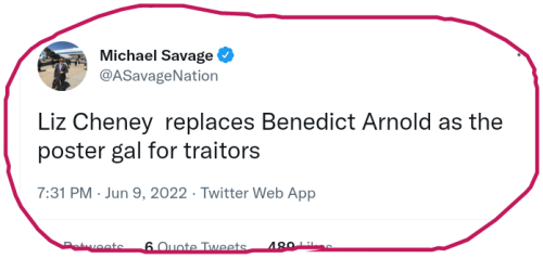 snapshot_twitter.com_1654825453268