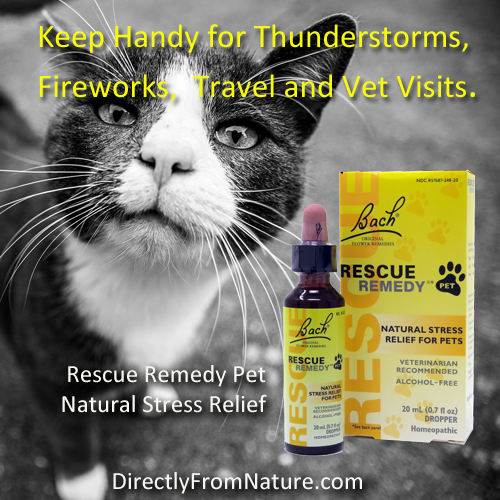 Rescue Remedy Pet 4th of July version 002