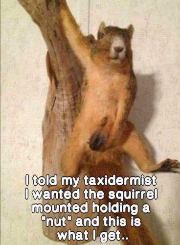 FB_IMG_1656517606802