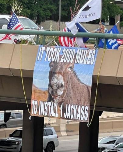 2000 mules20