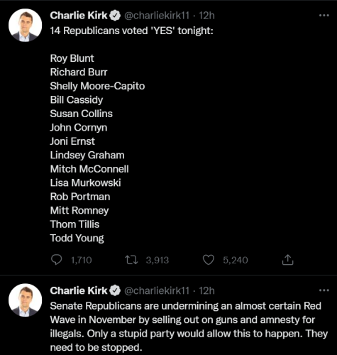 Guns GOP 1