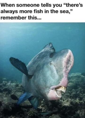 tumblr_ca67888b696d1a42c7363335b0cf1239_0da32b3f_500