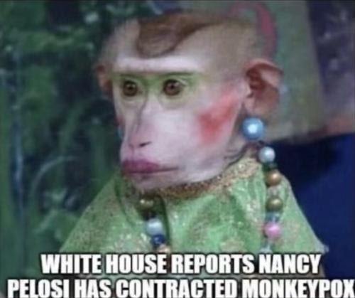 Screenshot_20220611-032733_Instagram