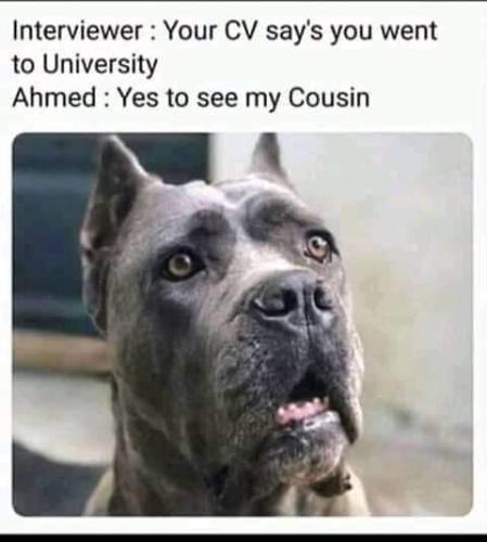 FB_IMG_1655314677944
