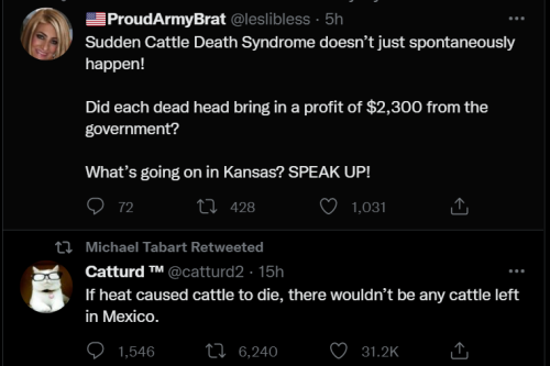 Cattle 1