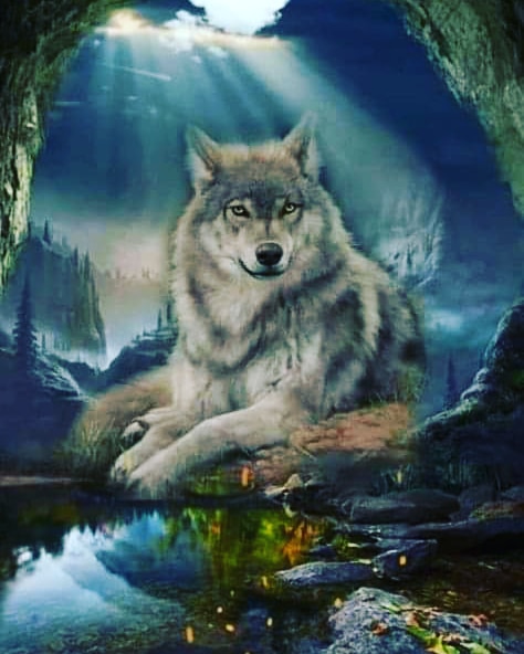 IMG_20220608_111545_048