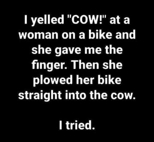 FB_IMG_1656522579758
