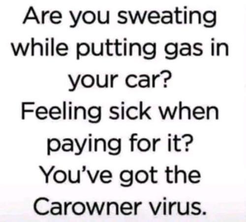 290957840_5630529156979835_6132687572142685705_n