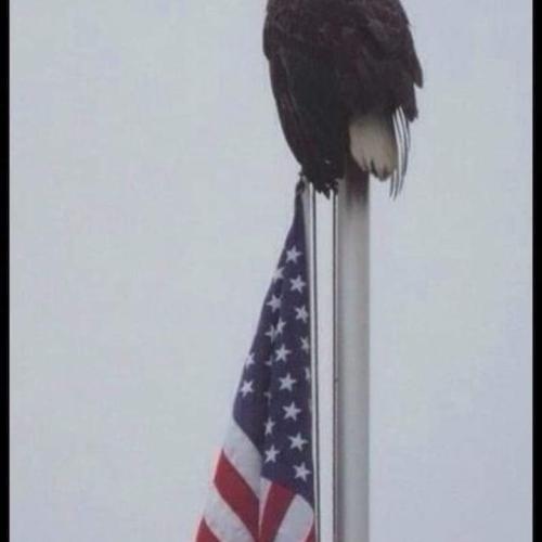 IMG_20220529_083144_675