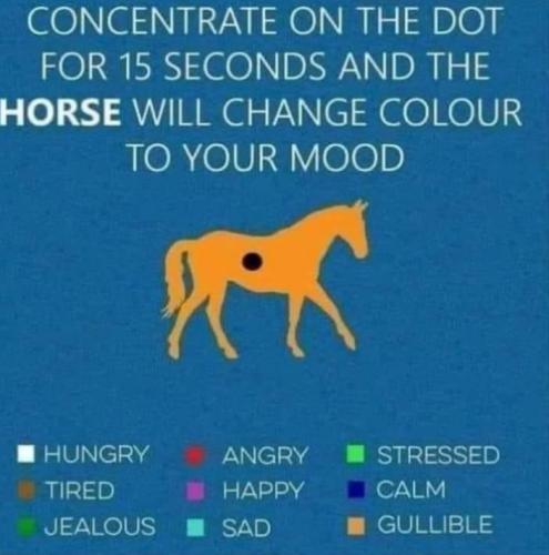 Screenshot_20220623-204227_MeWe